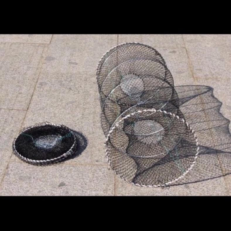 Sale to lồng lò xo 30cm x 60cm - xả hàng tồn