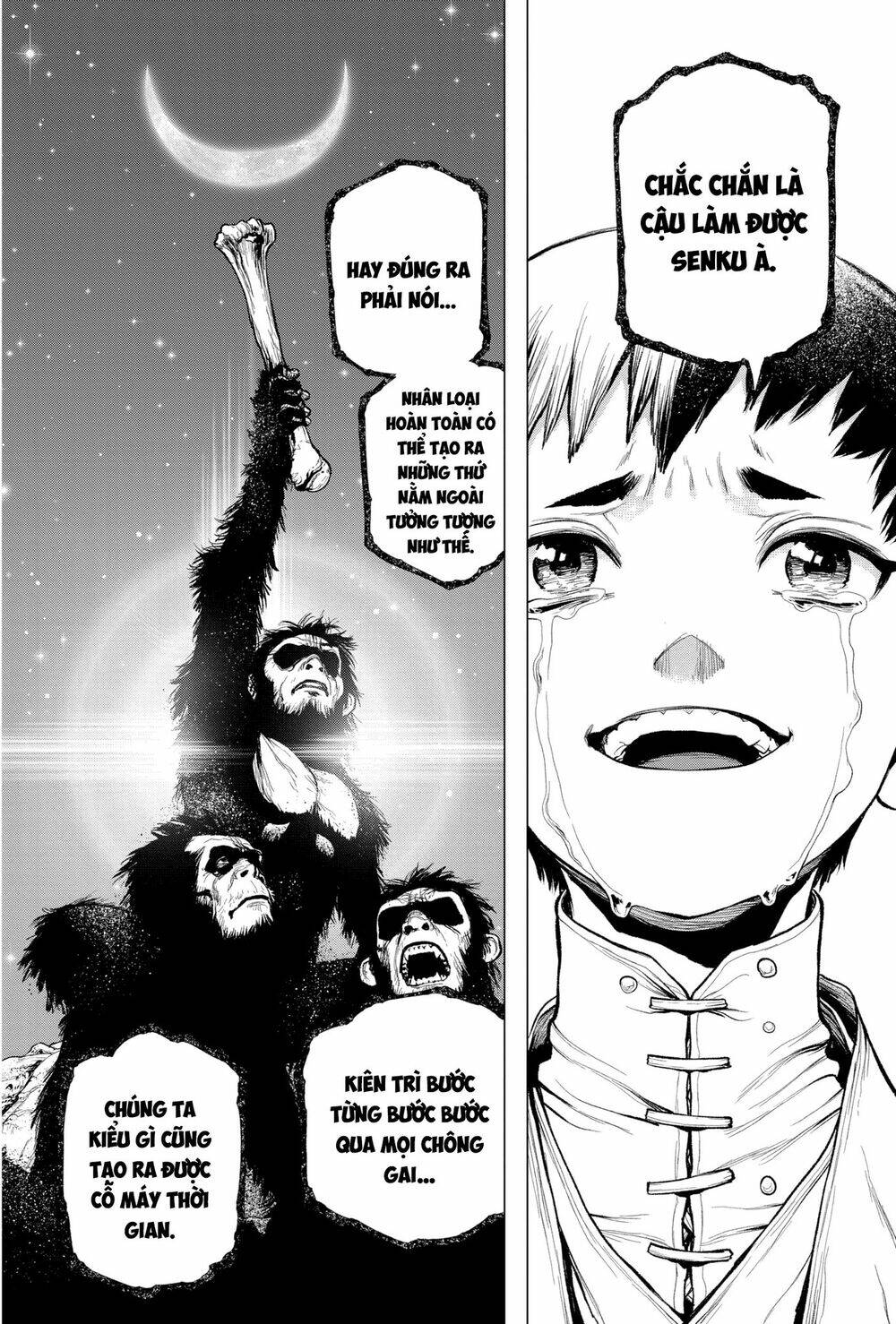 dr.stone - hồi sinh thế giới chapter 232 28