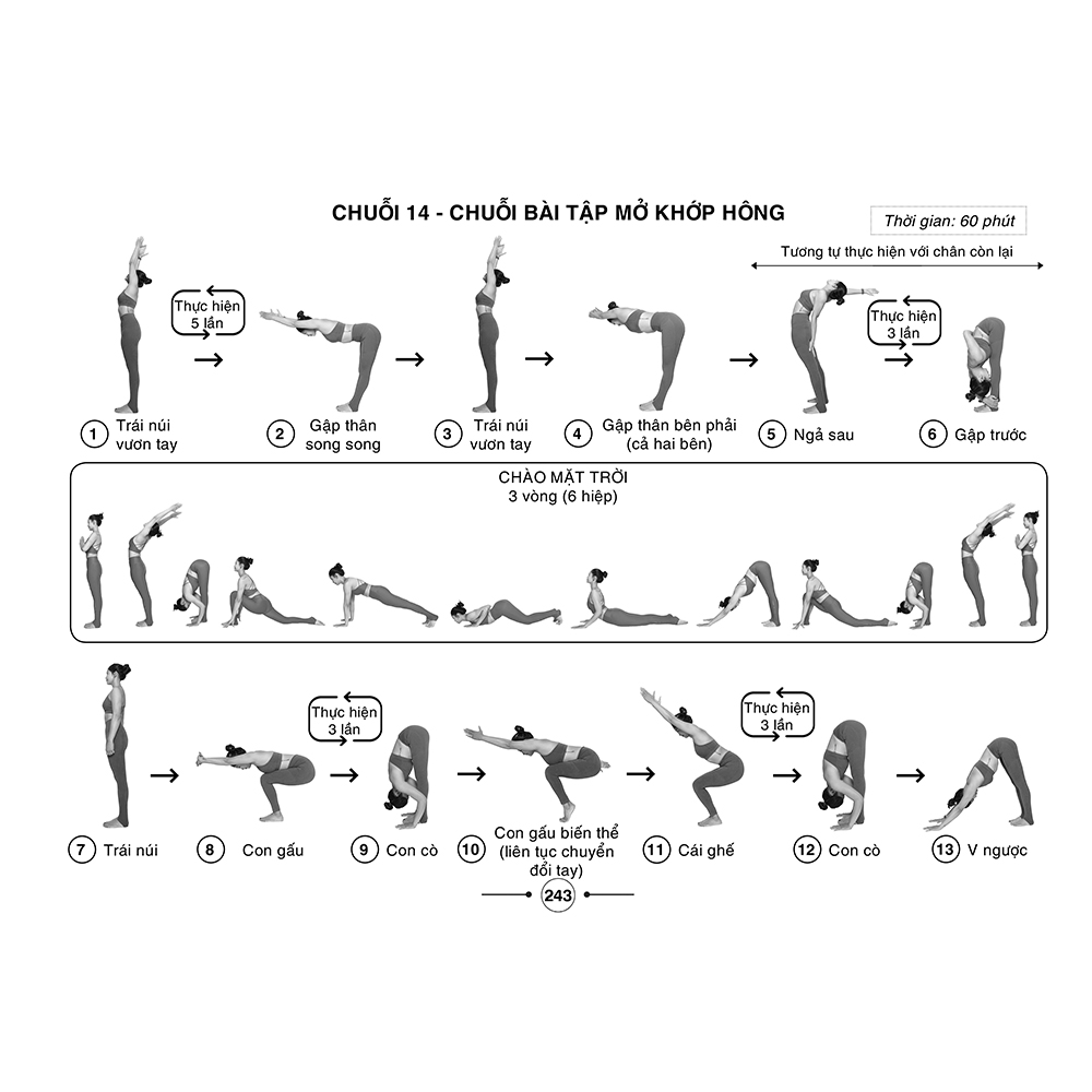 Hệ thống 1500 biến thể tư thế - 100 chuỗi bài yoga liên hoàn