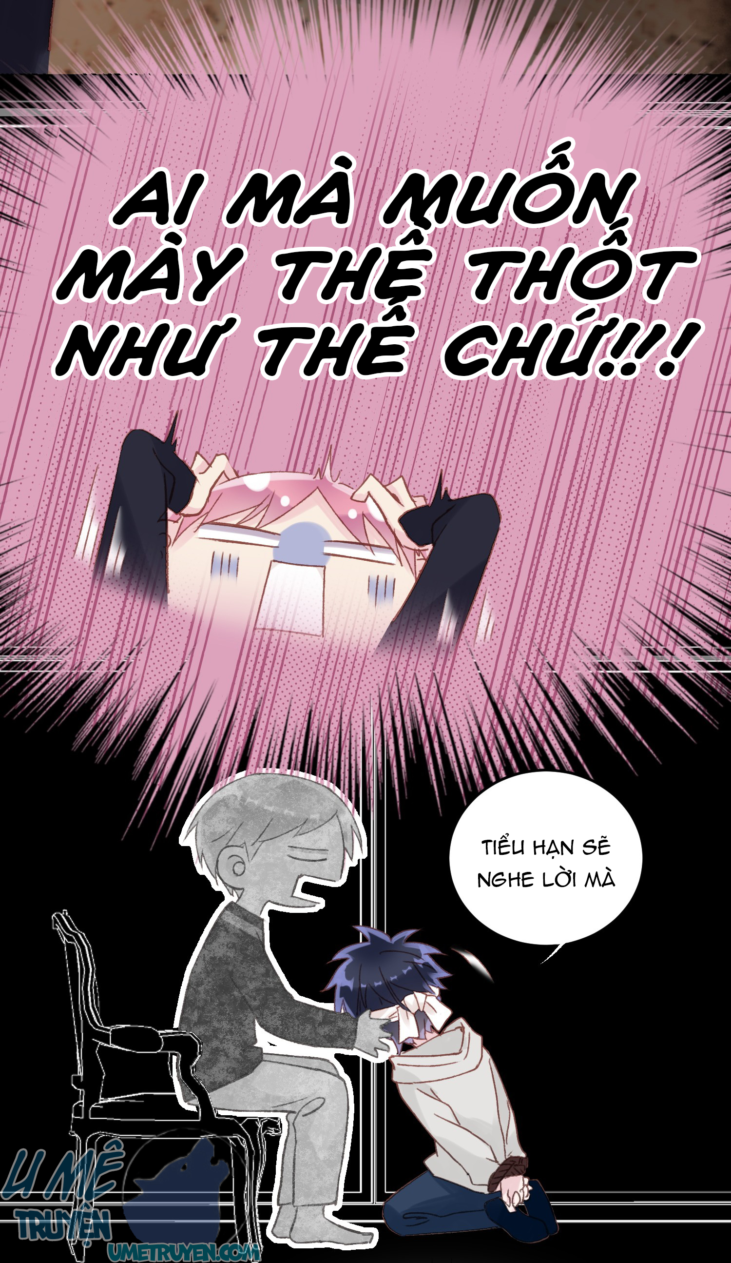 tôi phải làm một kẻ đại xấu xa chapter 11 17