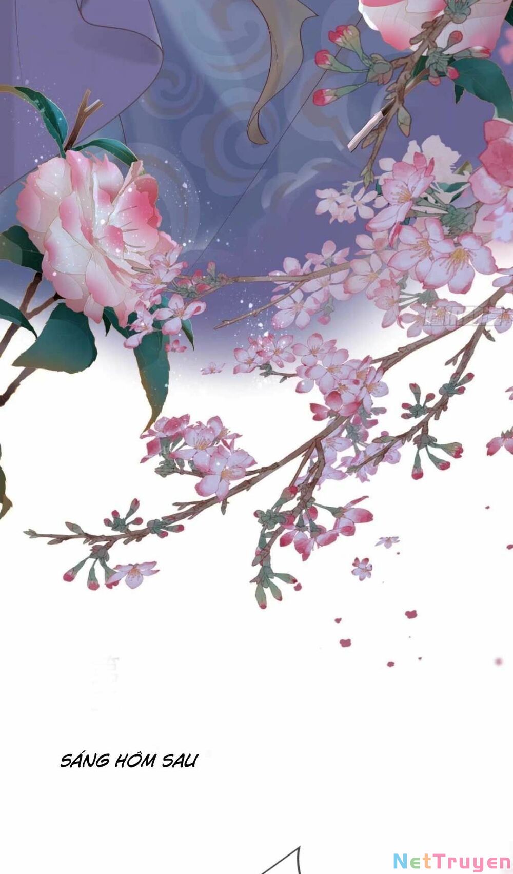 sự trả thù của vương phi chapter 11 33