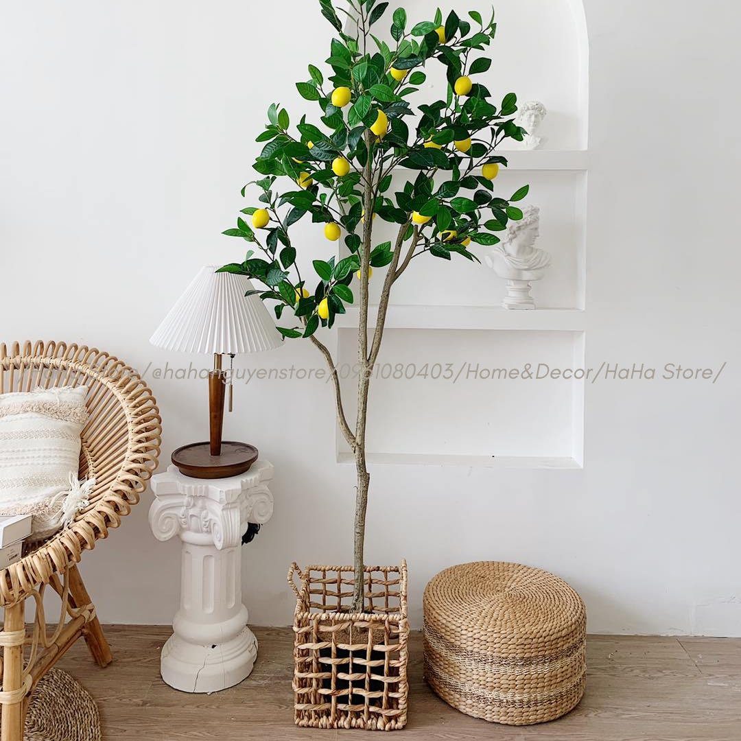 Giỏ Lục Bình Vuông DECOR Cây Cảnh Giỏ đựng đồ đa năng GLB02 nhiều kích thước