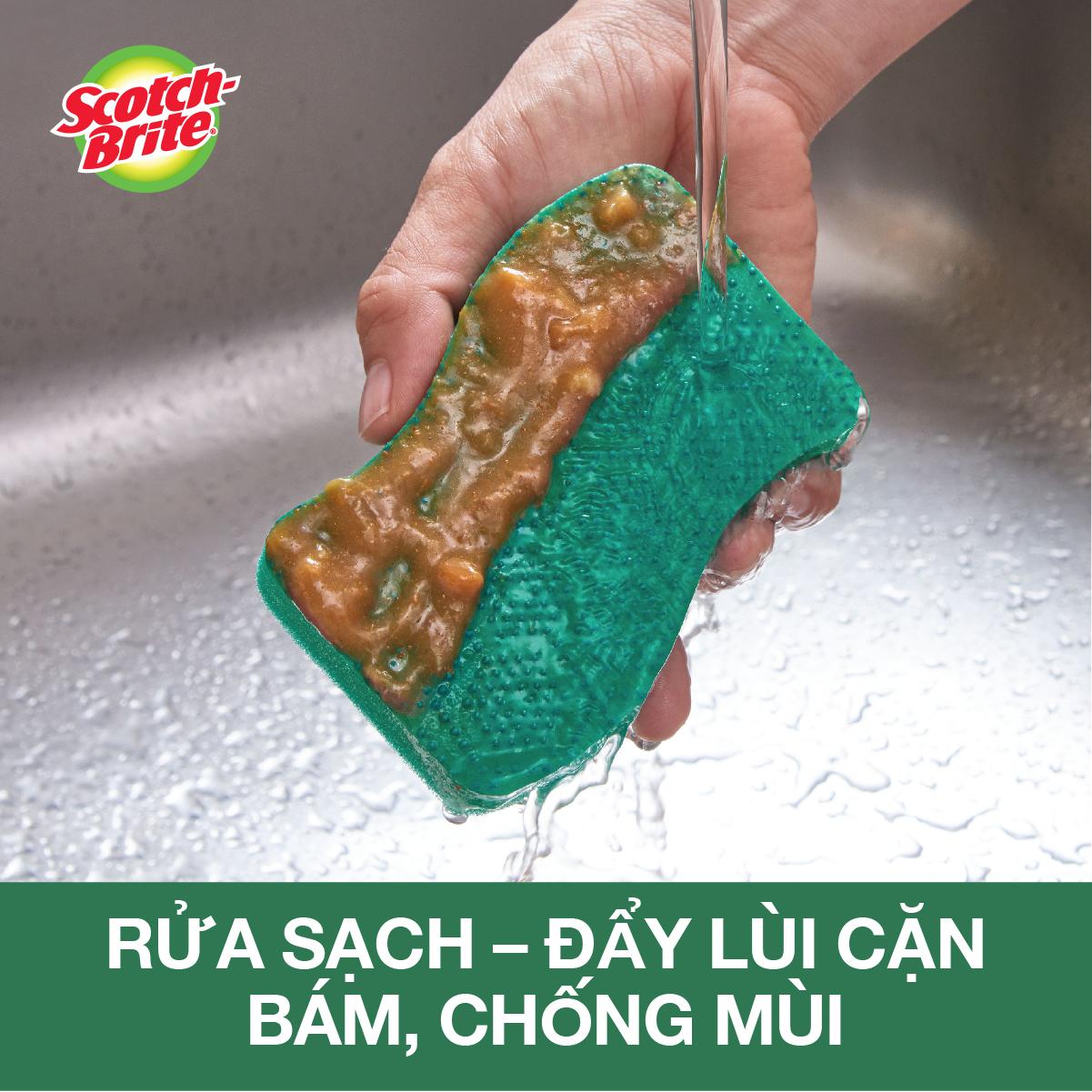 Miếng rửa chén hạt nổi siêu sạch Scotch-Brite 3M đa năng, mút hạt nổi kháng khuẩn, không bám cặn bẩn gây mùi, dễ vệ sinh