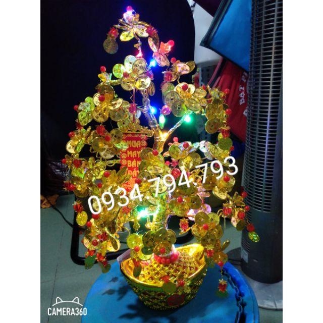 Cây tài lộc đồng tiền cuct phẩm chưng Tết và phong thủy size 40cm :500k