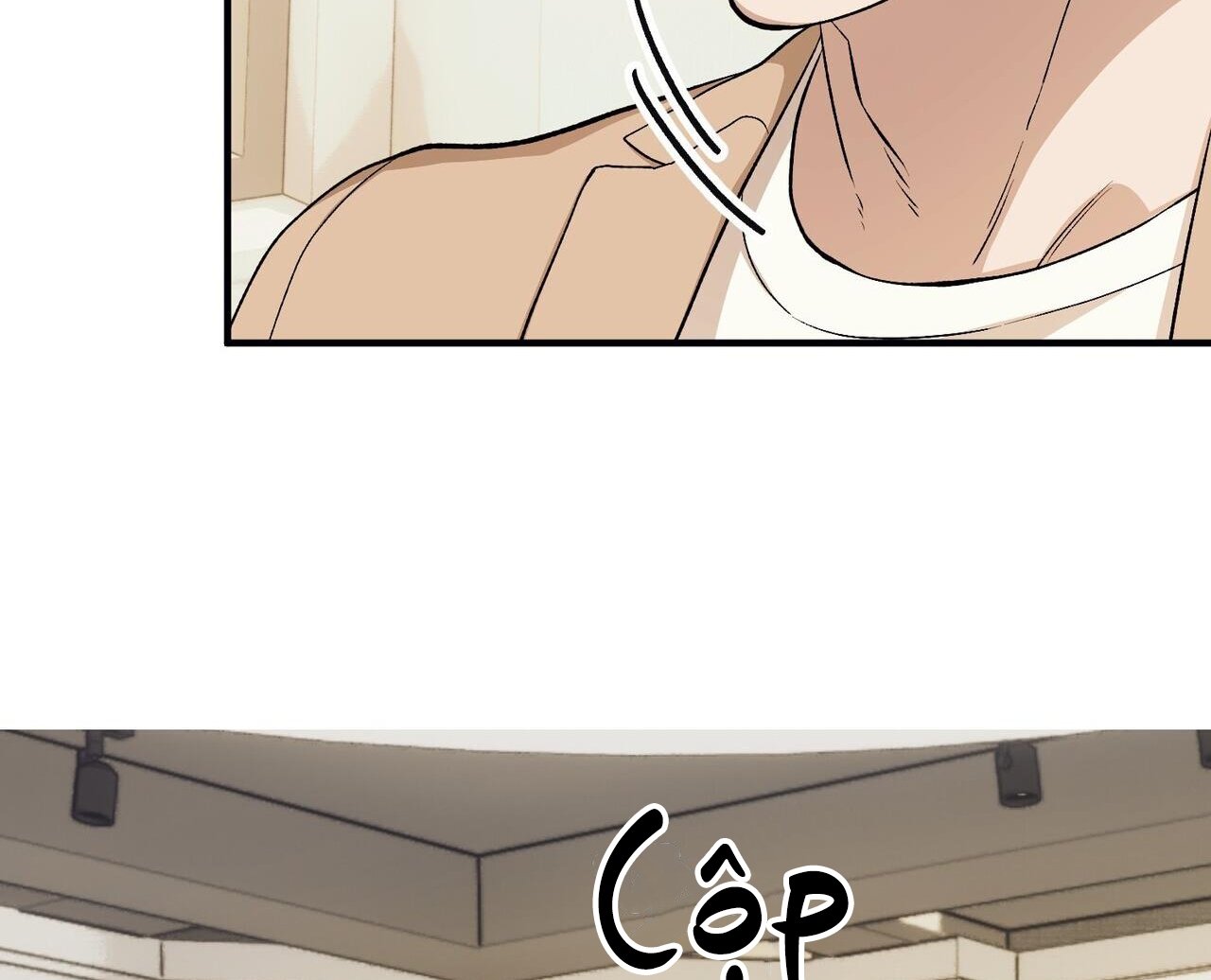 chàng dâu nhà họ kang chapter 48 96