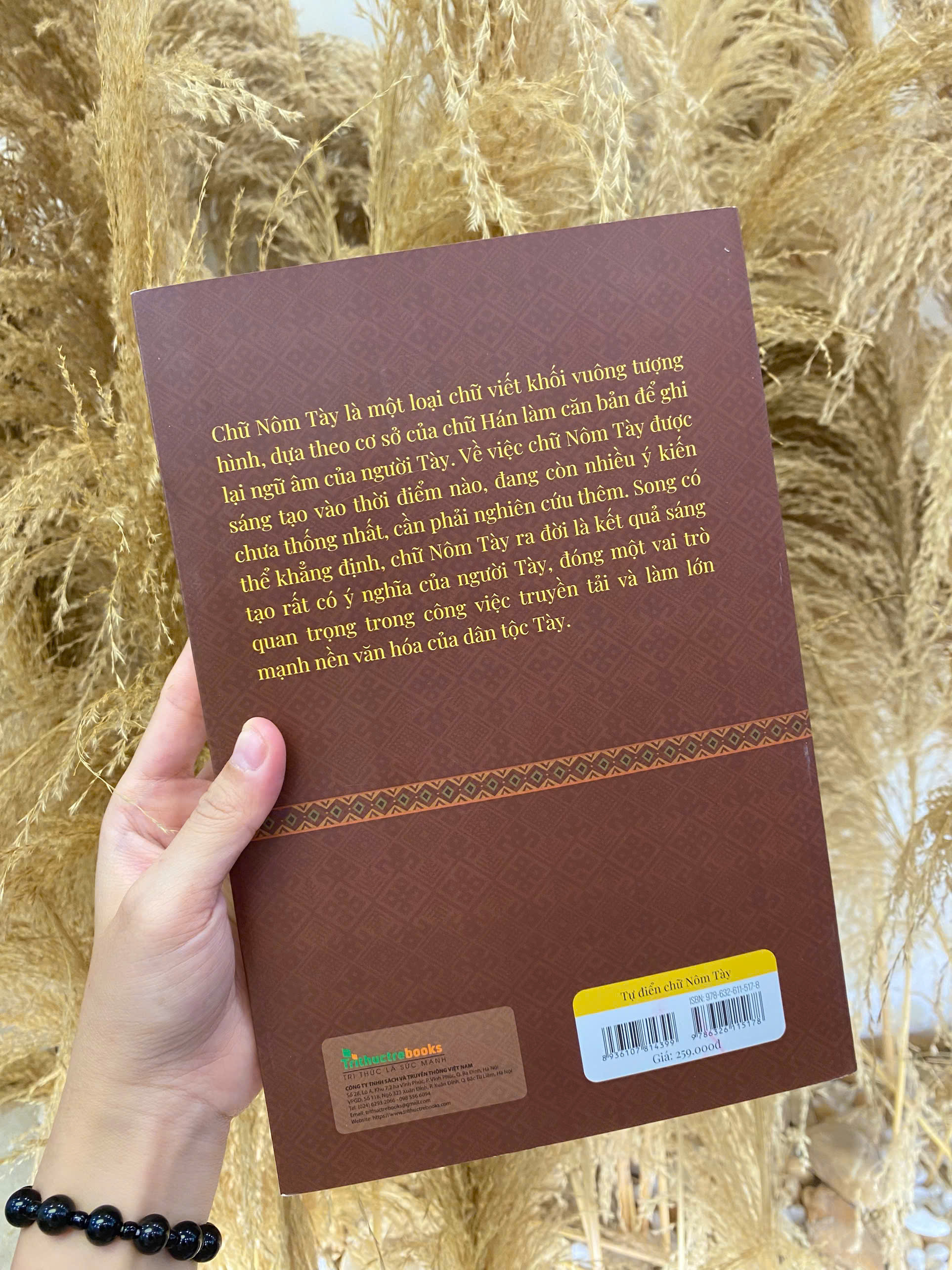 Sách - Từ điển chữ Nôm Tày - Tác giả Tống Đại Hồng - Trithuctrebooks - Khổ 16*24 cm