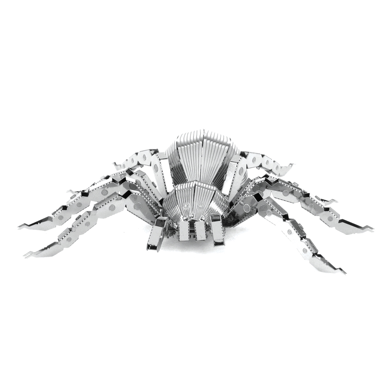 Mô Hình Kim Loại 3D Đẹp - Độc - Lạ: Nhện Tarantula (Động vật) - Mô Hình Sưu Tầm, Mô Hình Trang Trí, Quà Tặng Mô Hình