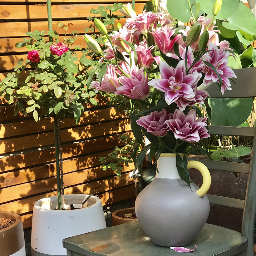 Bột Cắm Hoa Lily Tươi Lâu, Hiệu Longlife nhập khẩu Isarel