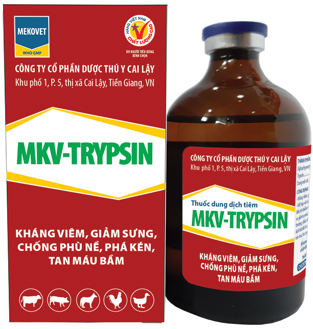 Thuốc dung dịch tiêm MKV-TRYPSIN Kháng viêm, giảm sưng, chống phù nề, phá kén, tan máu bầm