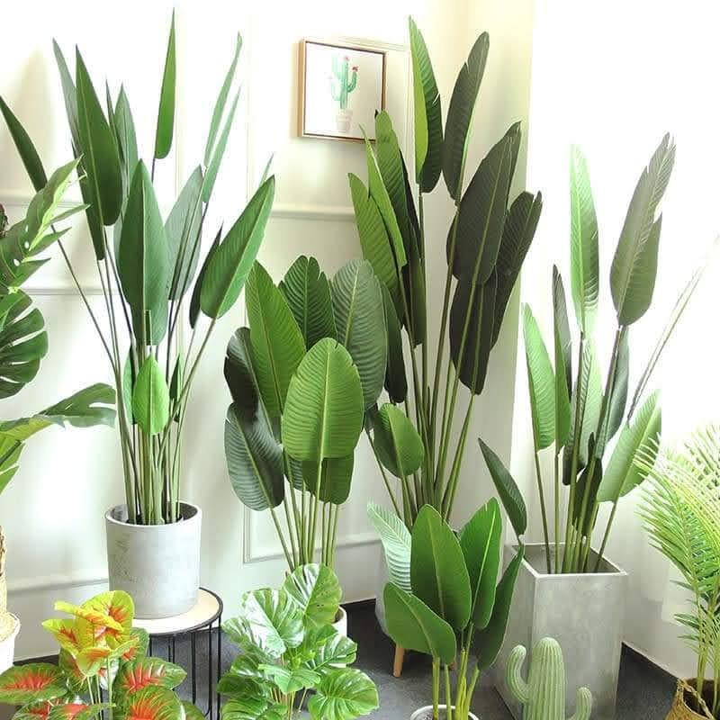 Cây Chuối lá ép nhập khẩu trang trí nhiều kích thước-Cây giả