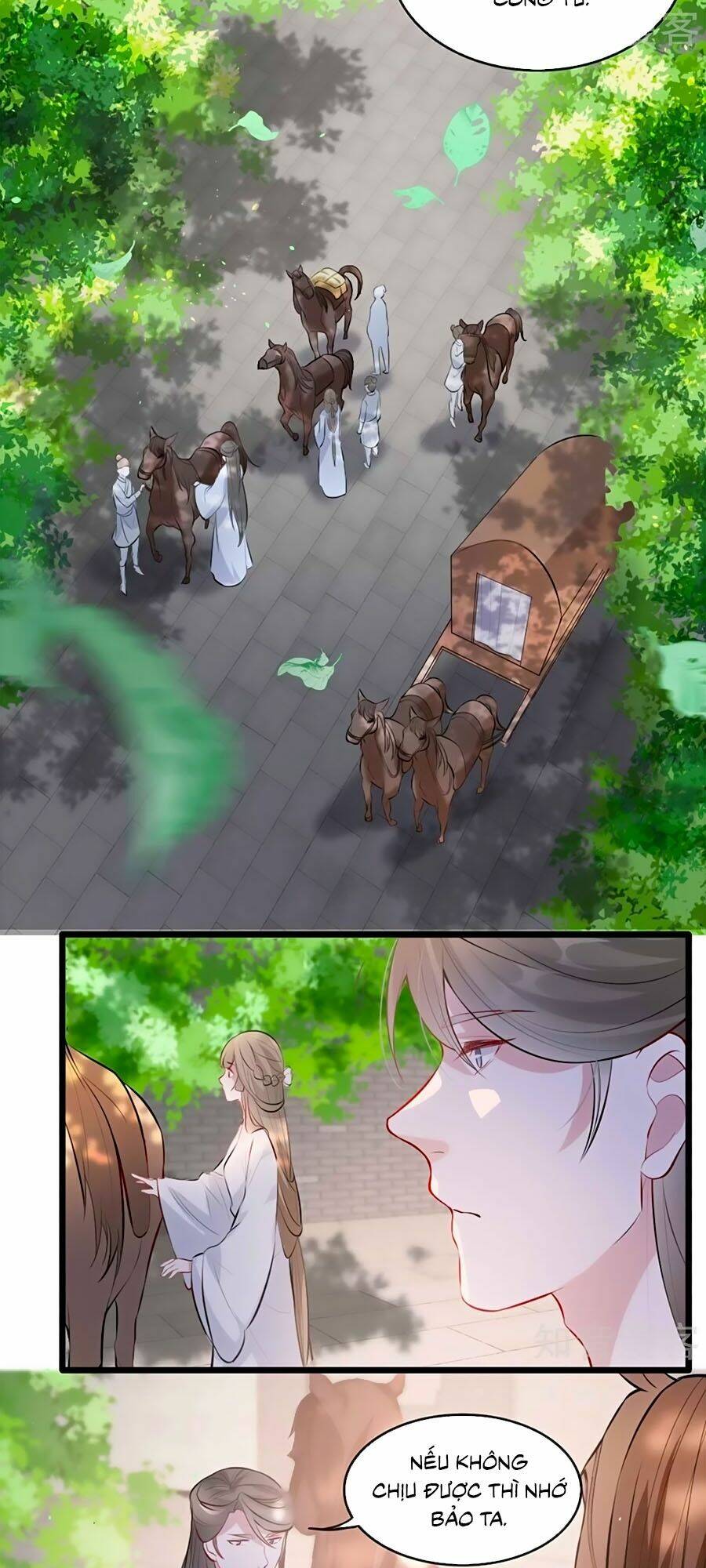 gian phi như thử đa kiều chapter 74 25