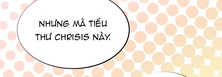 tôi sẽ cố gắng bảo vệ em gái chapter 28.1 304