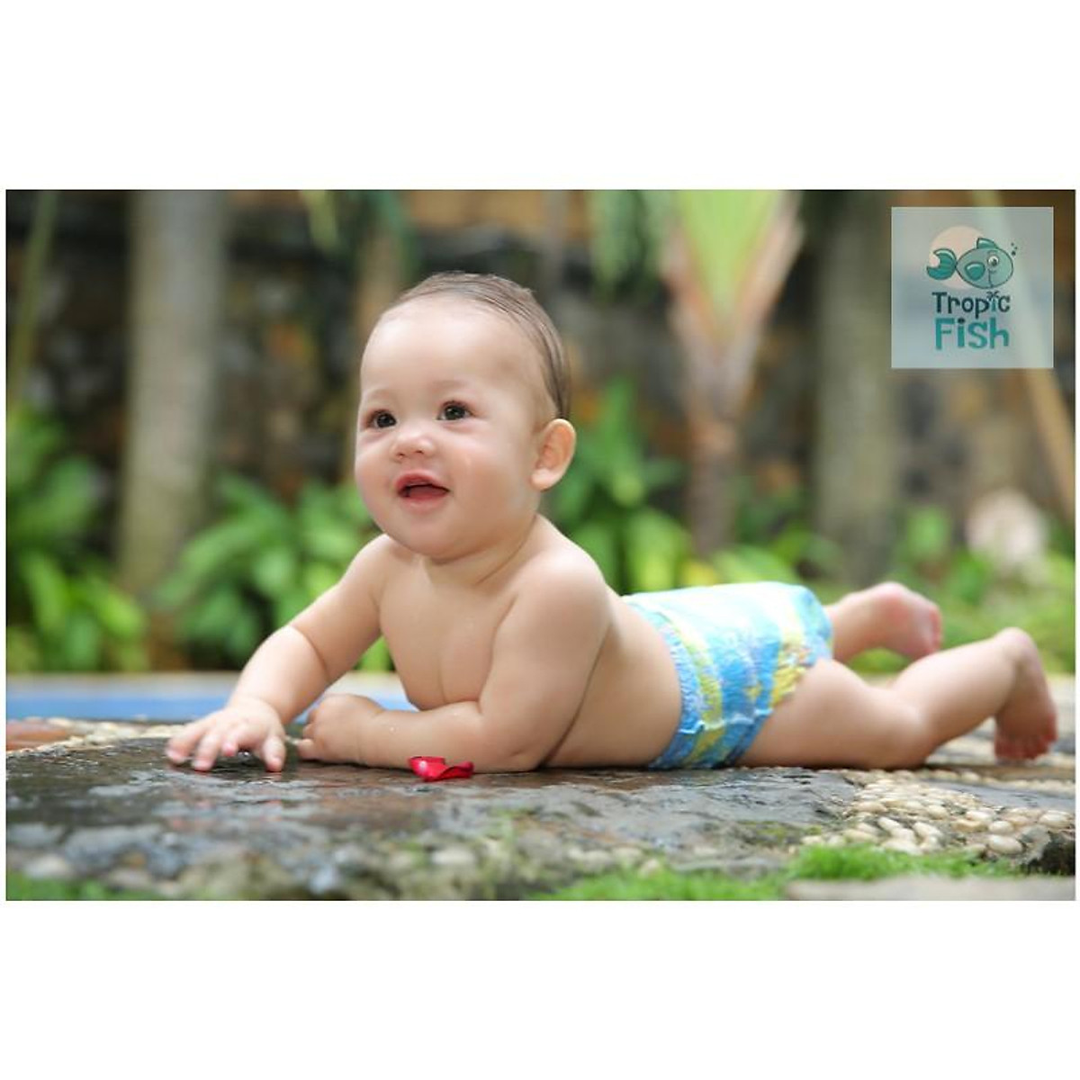 TropicFish Baby Swimdiaper Size S, M, L (6pcs/ Bag) / Tã Quần Bơi Cho Bé TropicFish Size S, M, L (6 miếng/Túi)