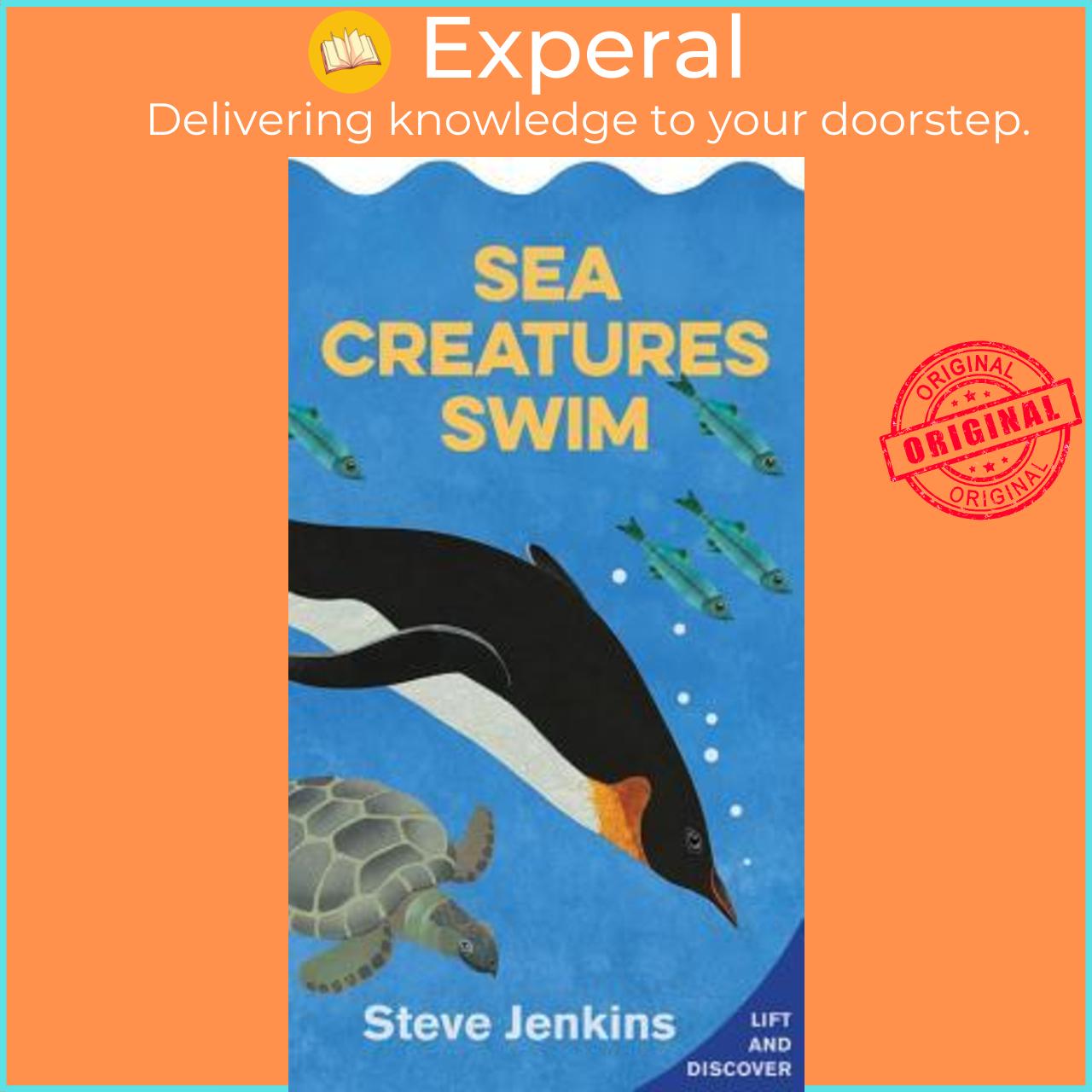 Sách - Sea Creatures Swim: Lift-the-Flap and Discover by Steve Jenkins (US edition, paperback)
