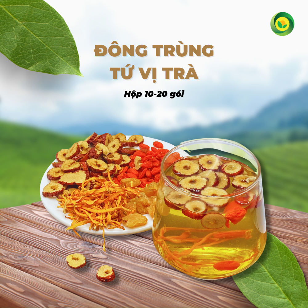 Trà Đông Trùng Hạ Thảo Tứ Vị Táo Đỏ Sunbeleaf – Bồi Bổ Cơ Thể, Bổ Khí Huyết, Tốt Cho Tim Mạch, Chống Lão Hóa – Hộp 10 Đến 20 Gói