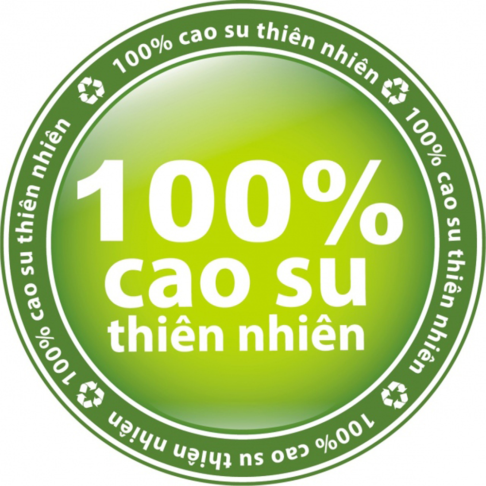 Nệm cao su Vạn Thành Standard (VTCSTN10) Hàng chính hãng từ cửa hàng công Ty 100% cao su thiên nhiên