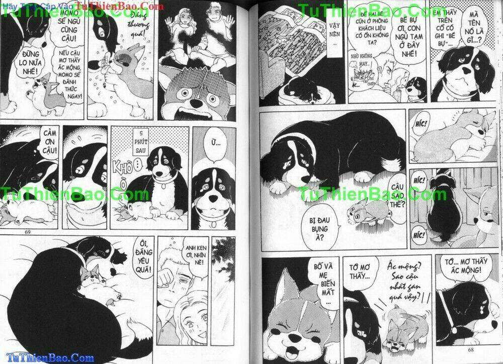 chó con mo mo chapter 6 35
