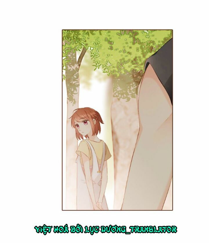 Tình yêu là màu hoa anh thảo chapter 36.1 4