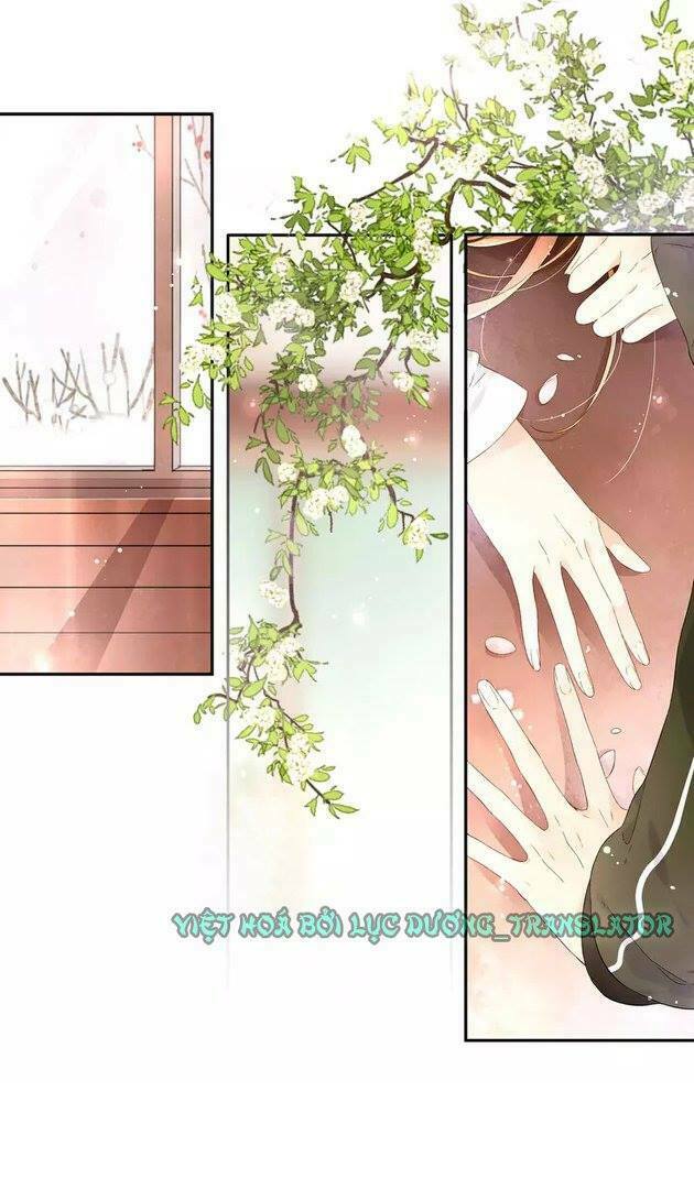 Tình yêu là màu hoa anh thảo chapter 20.5 4