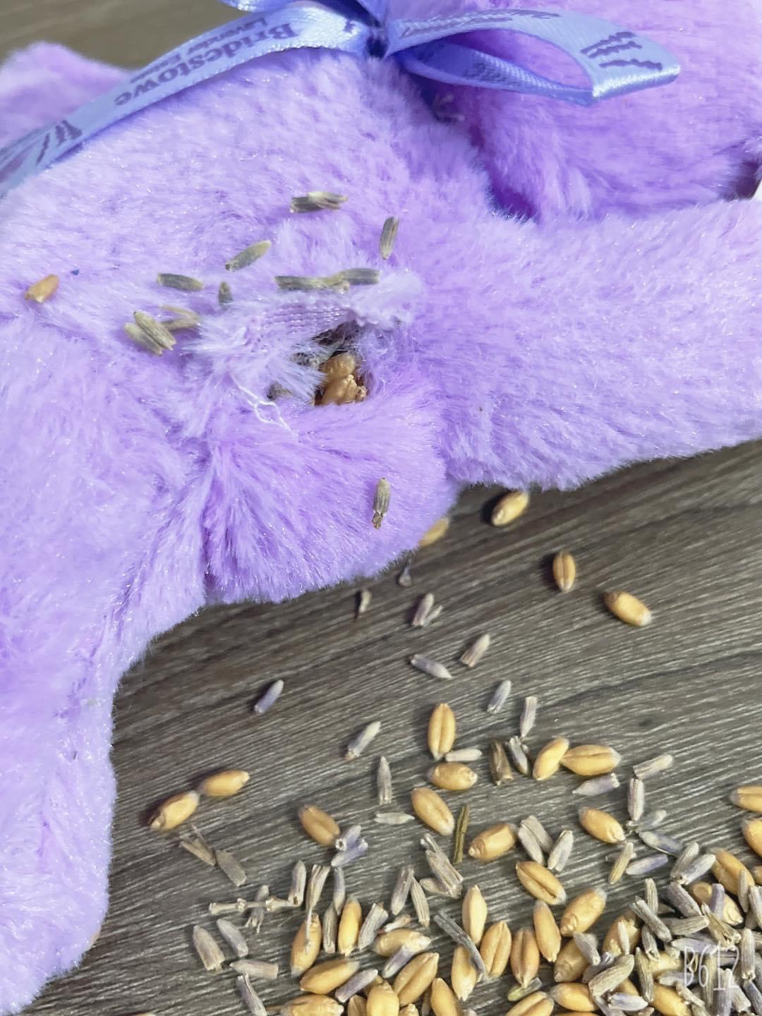 Gấu bông Úc nhồi nụ hoa oải hương Lavender và hạt lúa mạch Heat Pack Bear Bridestowe hương thơm dịu nhẹ, làm ấm bằng lò vi sóng