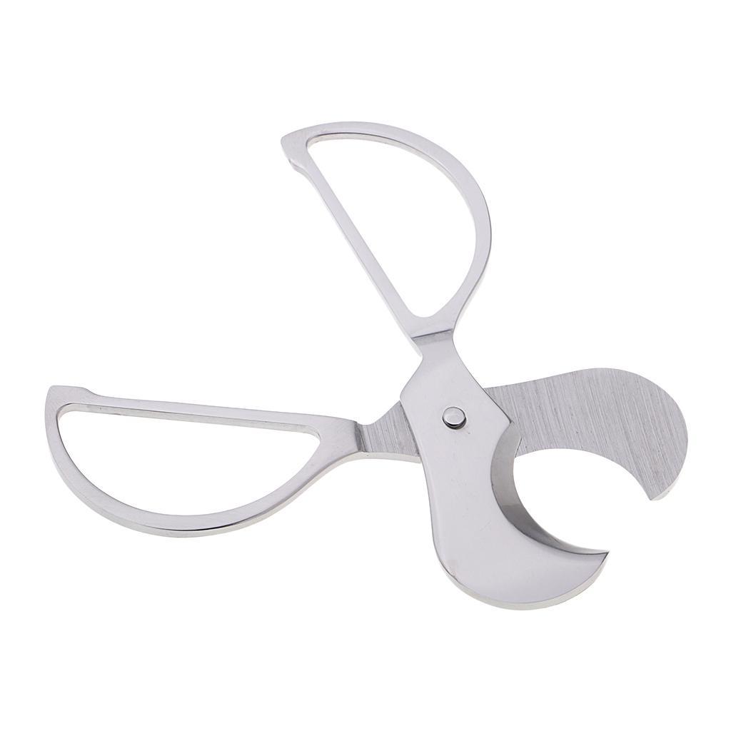 Stainless Steel Scissors Tools