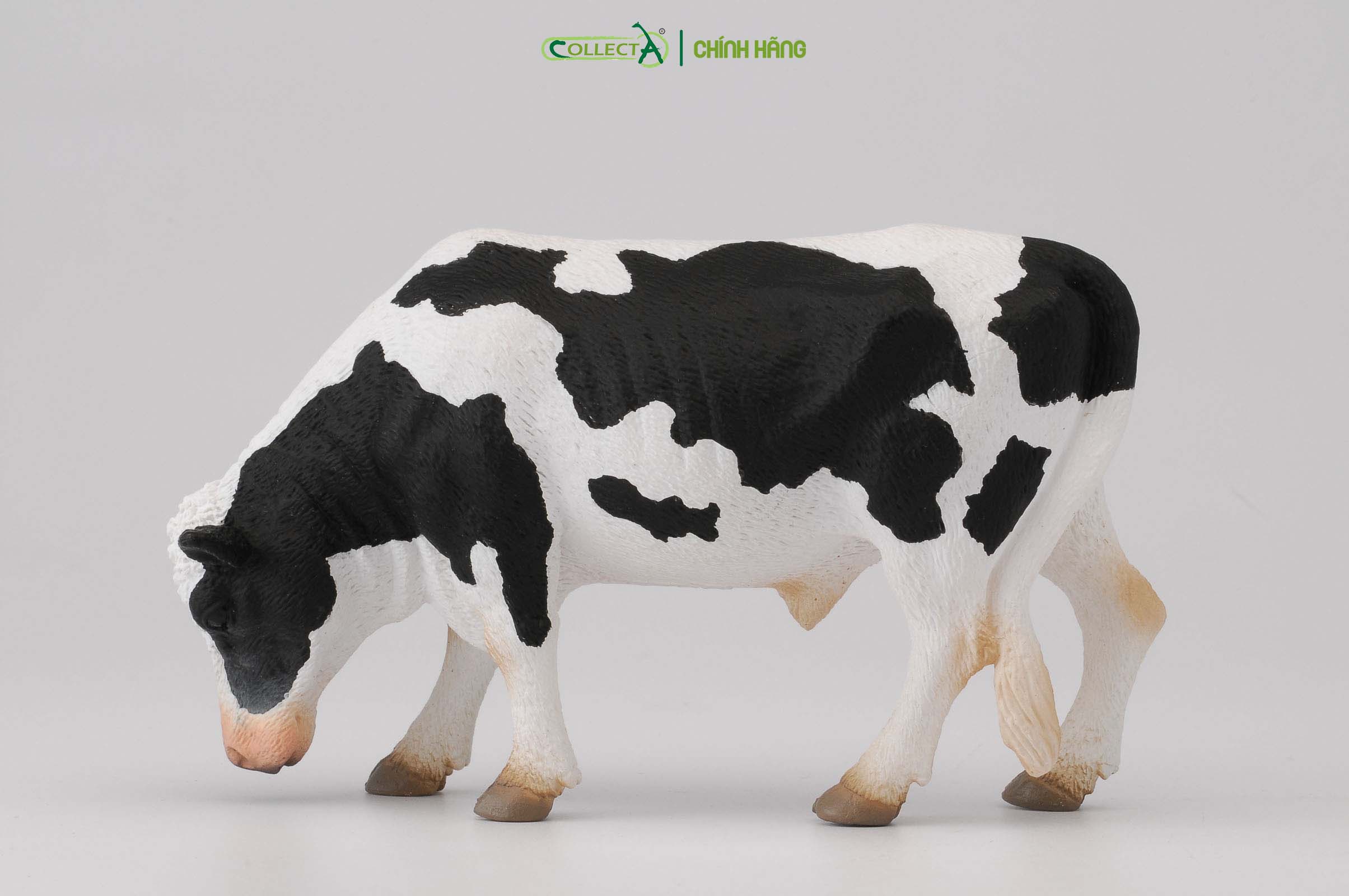 Mô hình thu nhỏ: Bò Hà Lan bố - Friesian Bull  , hiệu: CollectA, mã HS 9650060[88482] -  Chất liệu an toàn cho trẻ - Hàng chính hãng