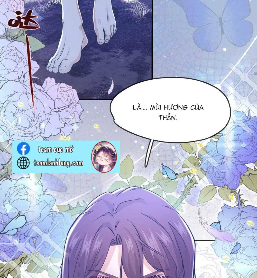 tổng tài huyết tộc muốn giam cầm tôi chapter 1 12