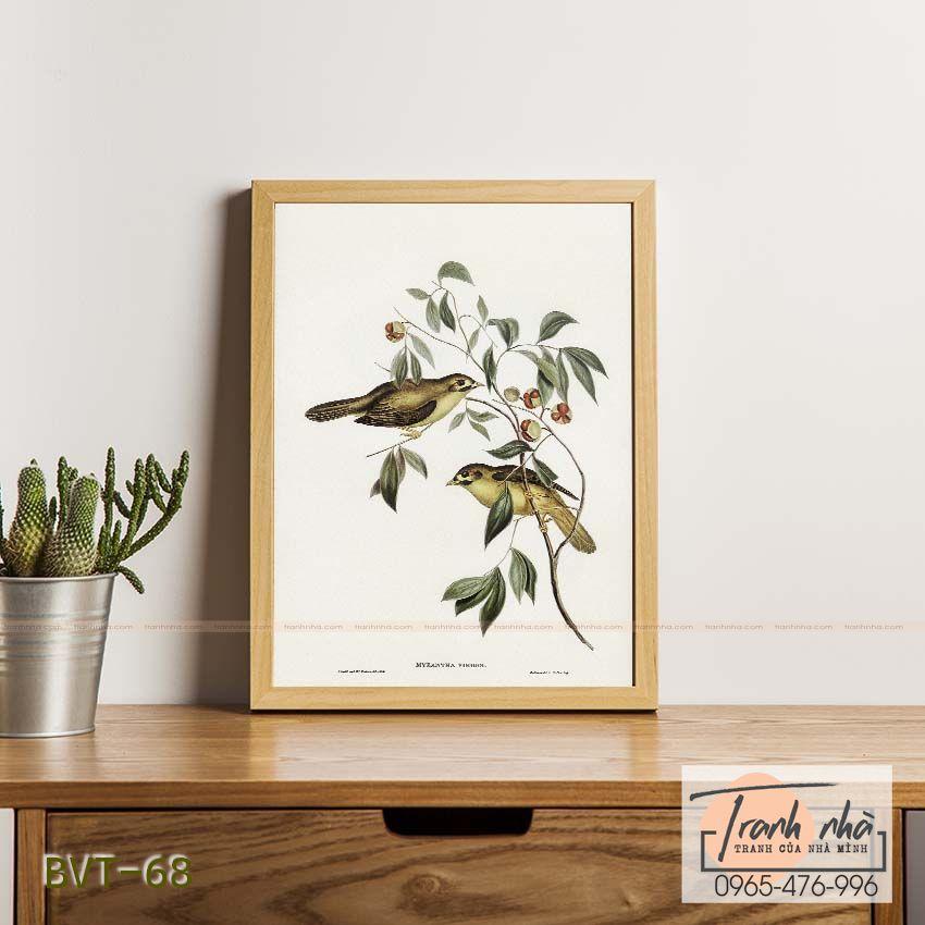 Tranh canvas vintage  - Chim ăn mật (Myzantha melanophrys) - BVT-68