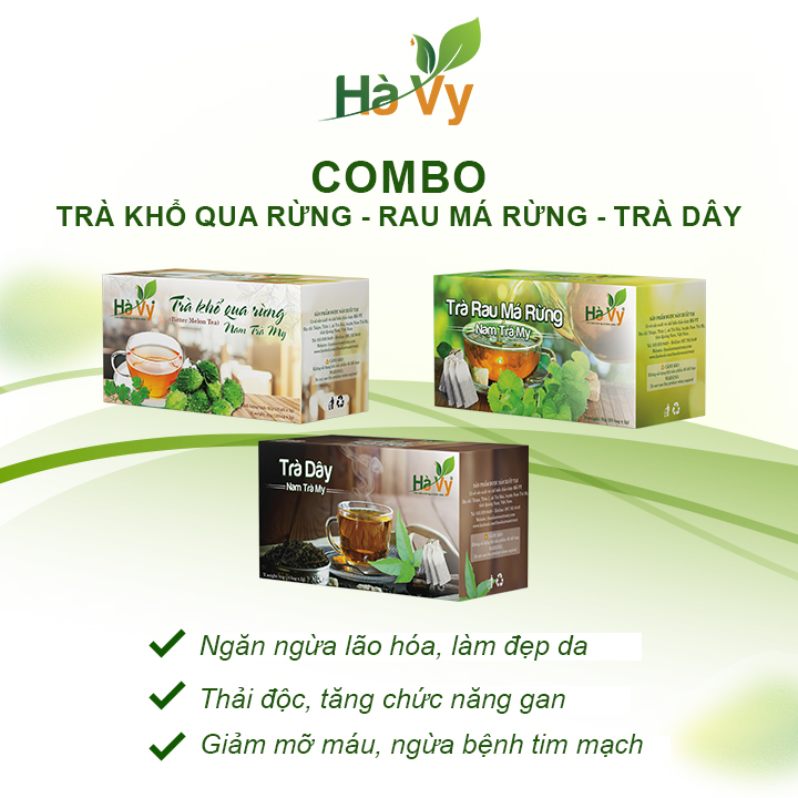 Combo Trà Rau Má Rừng, Trà Dây, Trà Khổ Qua Rừng Nam Trà My Hà Vy hỗ trợ làm đẹp da, hỗ trợ tiêu hoá hiệu quả (set 3 hộp trà túi lọc)