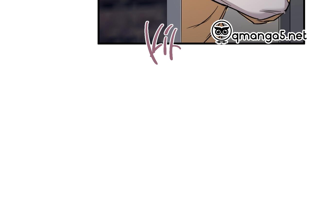 những chú thỏ của hapypy chapter 59 168