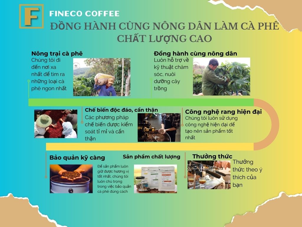 Arabica Washed - Vị đắng nhẹ, chua thanh, hương trái cây, hậu ngọt dịu - Cà phê pha phin/ Pha máy |250 - 500gr|