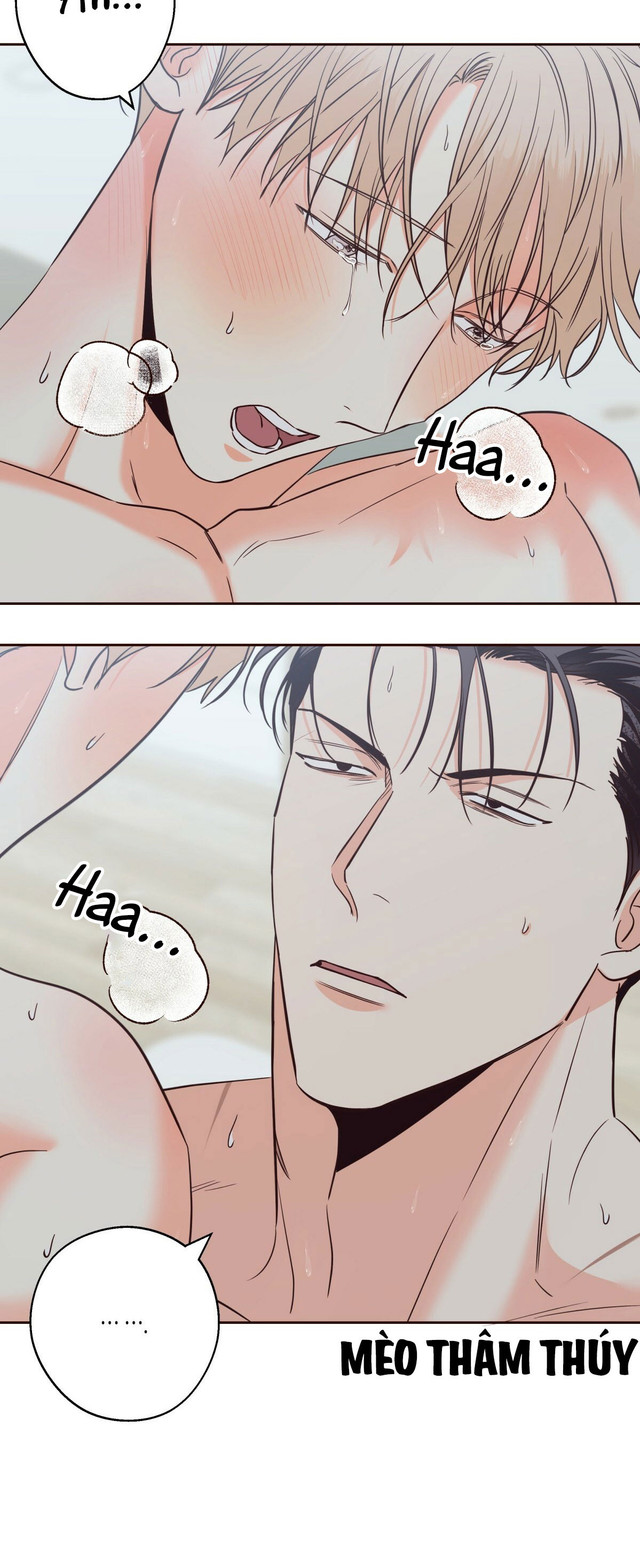 cửa hàng tiện lợi nguy hiểm chapter 72 4