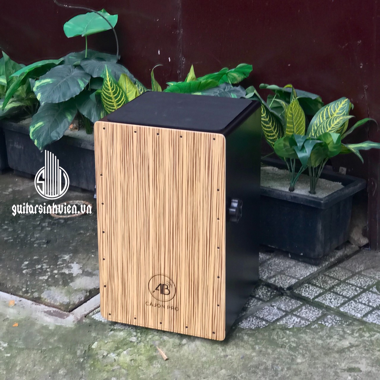 Trống cajon AB Drum trắng sọc cho người mới tập chơi - Âm thanh hay