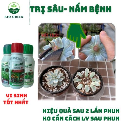 Phân bón cho sen đá,Thuốc trừ diệt sâu nấm bệnh sinh học hữu cơ TSBIO trị đốm đen,rệp sáp,thối thân lá rễ,sâu ăn thân