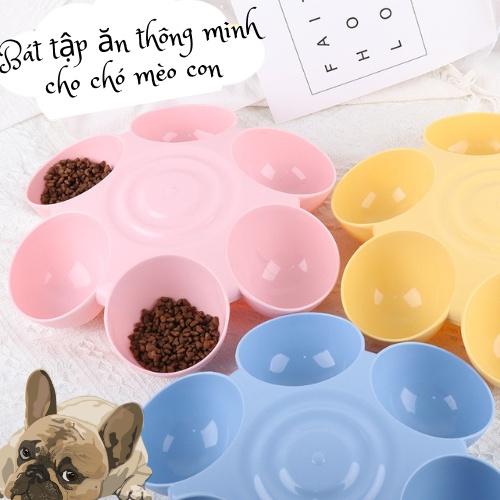 Bát ăn chia ngăn chó mèo- bát tập ăn chó mèo con- bát ăn hình bông hoa  cao cấp 6 ngăn thông minh