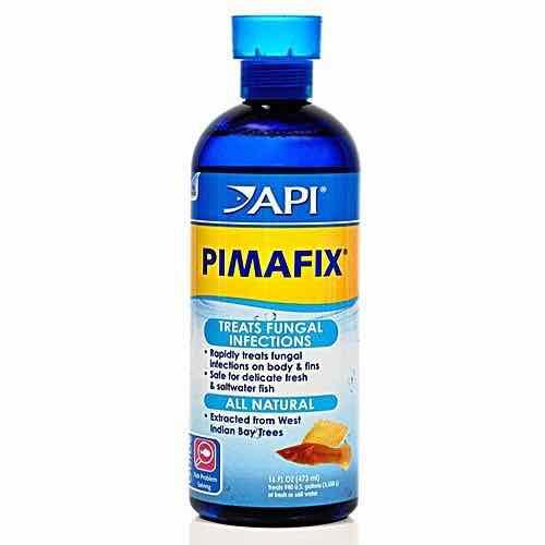 DUNG DỊCH ĐẶC TRỊ NẤM CHO CÁ API PIMAFIX