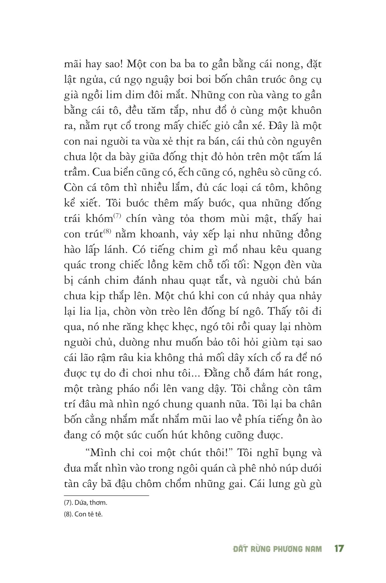 Sách - Đất Rừng Phương Nam - Bìa Cứng (Tái Bản 2025)