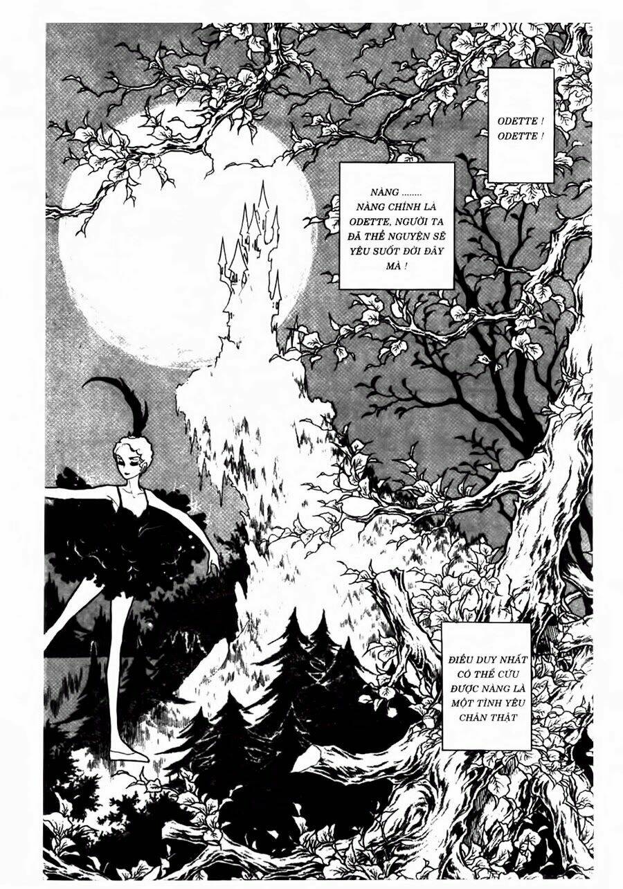 swan - vũ khúc thiên nga chapter 46 7