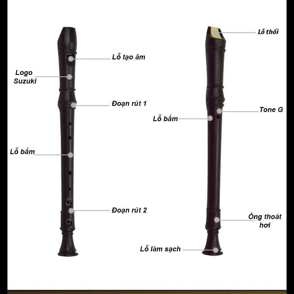 Sáo recorder Suzuki, sáo cho học sinh