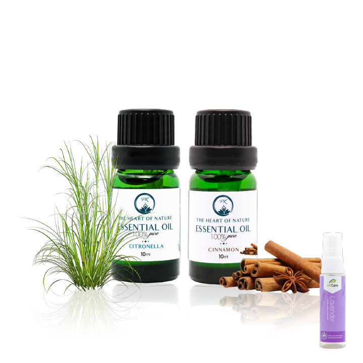 Combo tinh dầu Sả Java và Quế PK - tặng xịt phòng lavender