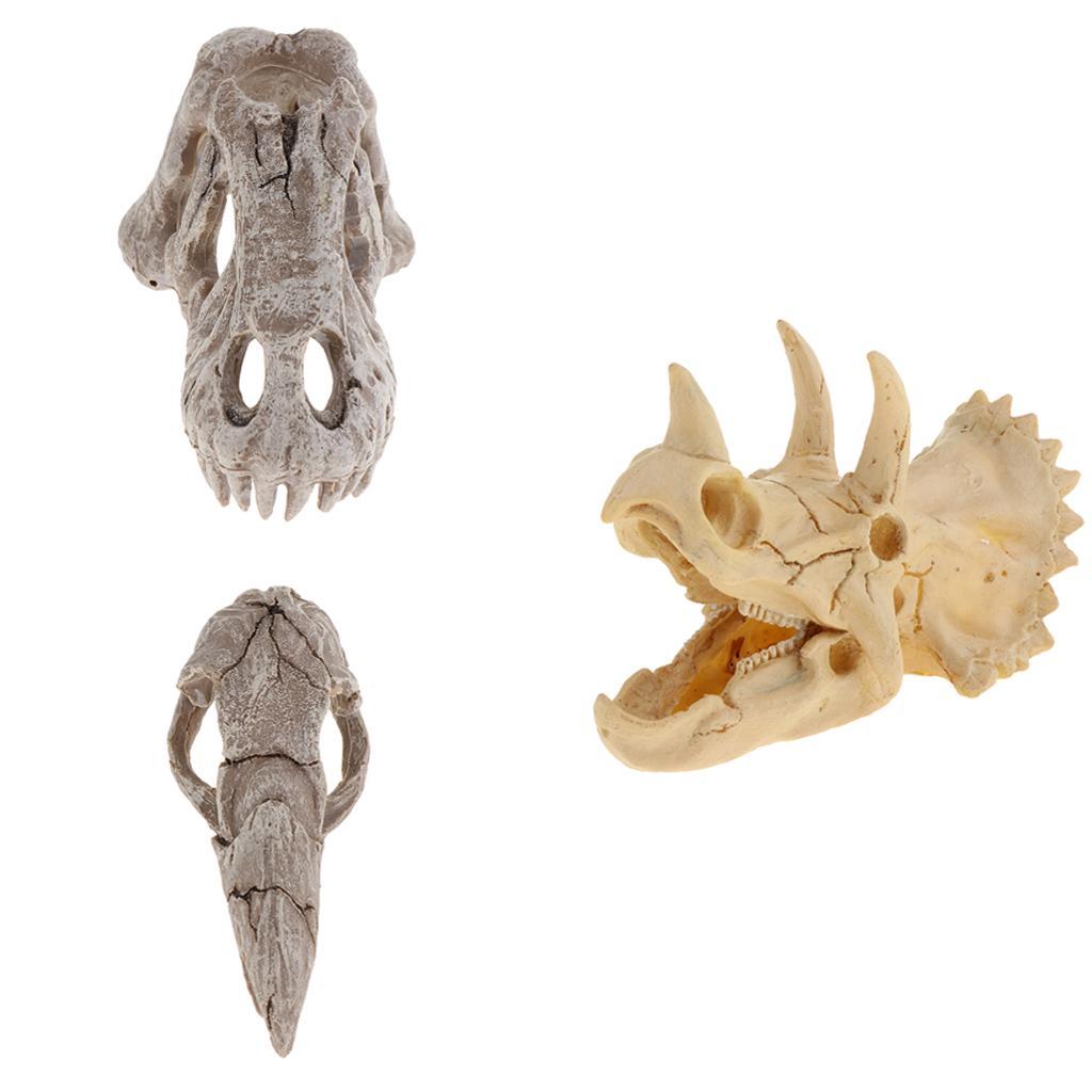 Reptile Vivarium Decoration Terrarium DIY Landscaping Skull