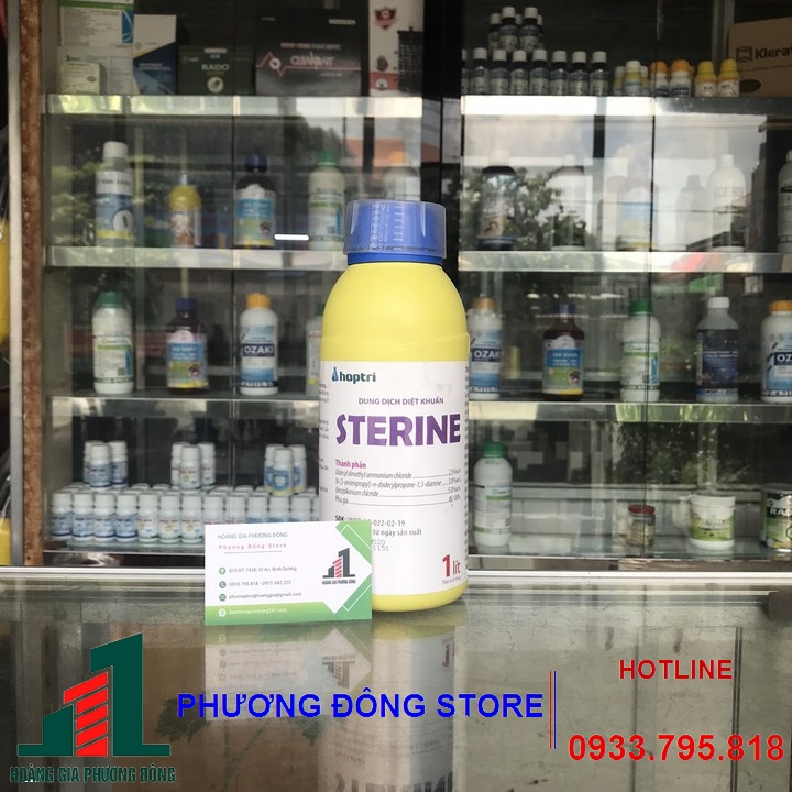 Thuốc khử trùng Sterine-500ml