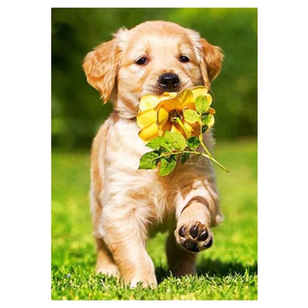DIY 5D Diamond Painting Embroidery Flower Dog Cross Crafts Stitch Kit Decor