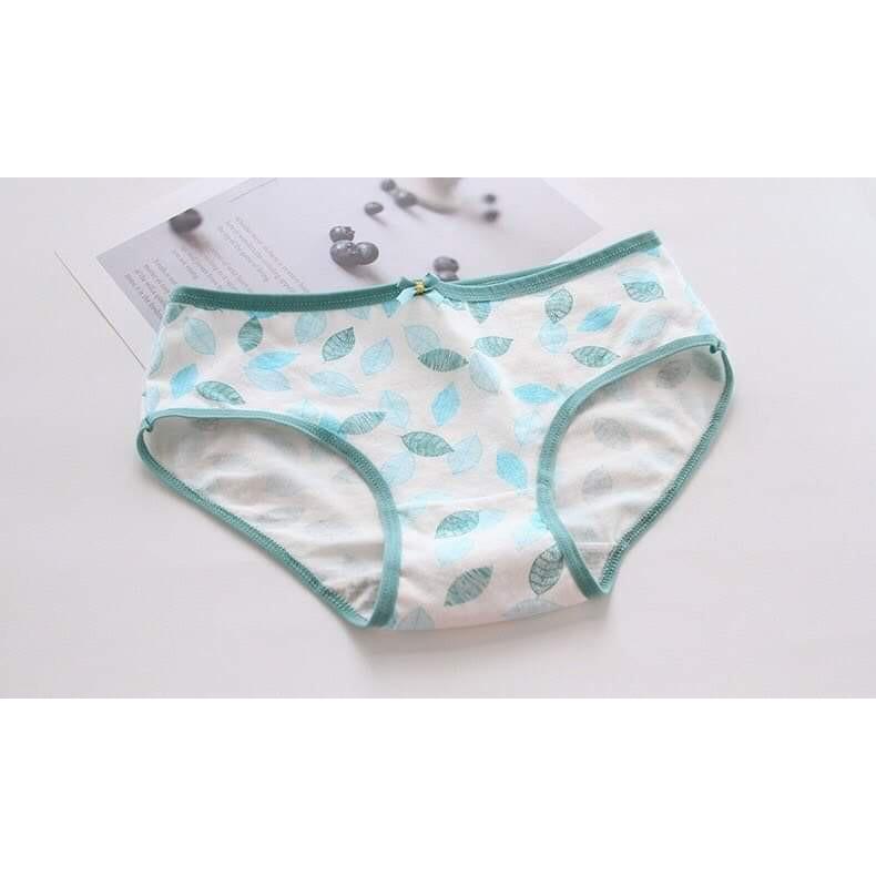 QUẦN COTTON HINH CHIẾC LÁ- 5 QUẦN 90K