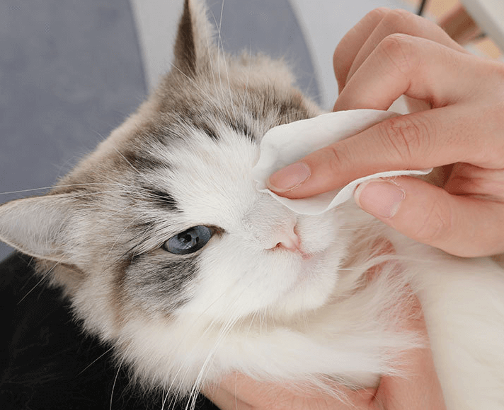 Khăn/ Giấy ướt vệ sinh mắt chó mèo SOS chứa chiết xuất nha đam, nhẹ nhàng làm sạch vùng mắt cho thú cưng 100 miếng