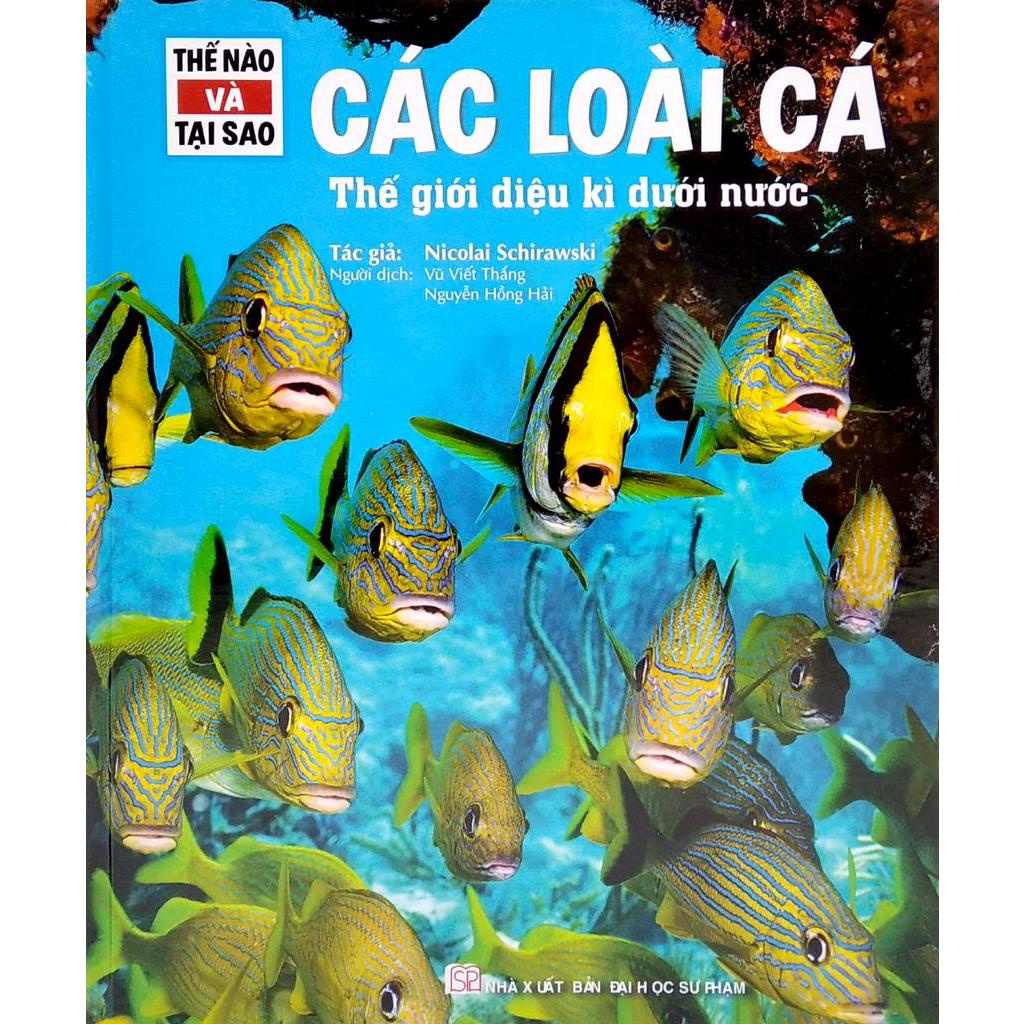 Thế nào và tại sao : Các loài cá