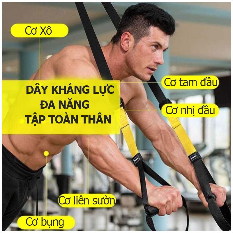 Dây kháng lực tập gym TRX P3, dây treo đàn hồi đa năng tập Gym chính hãng TOPBODY