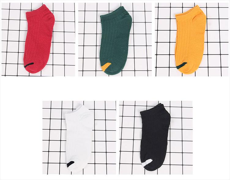 Combo 5 đôi tất vớ Nữ cổ ngắn viền mũi chân nhiều màu CB001