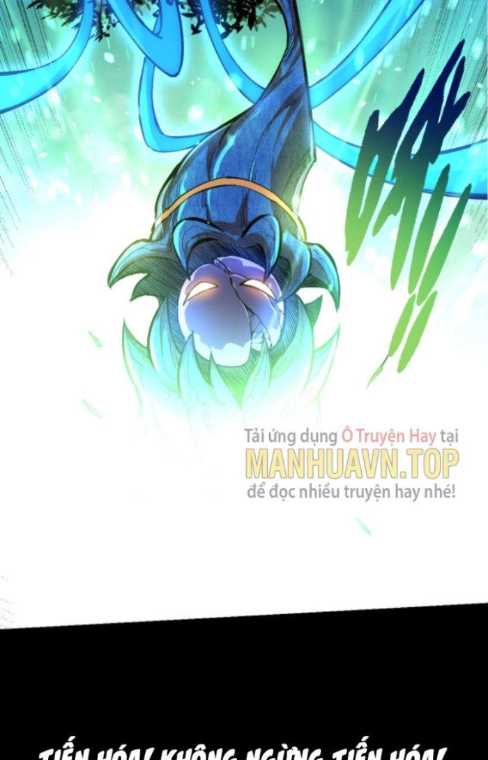 từ cây cổ thụ bắt đầu tiến hóa chapter 6 6