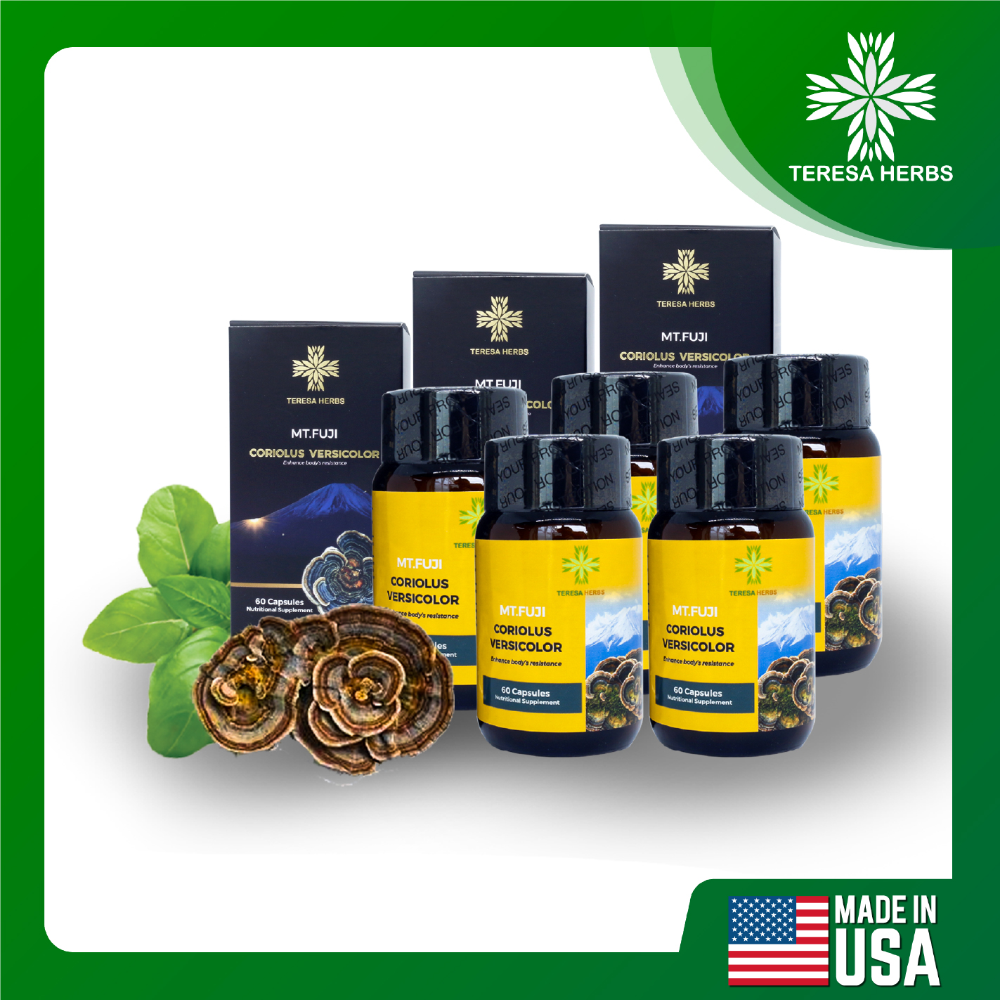 Nấm Vân Chi Núi Phú Sĩ - Combo 5 Hộp - Tăng cường sức đề kháng, hệ miễn dịch, hỗ trợ điều trị ung thư